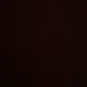 Meet your Posher, Dani